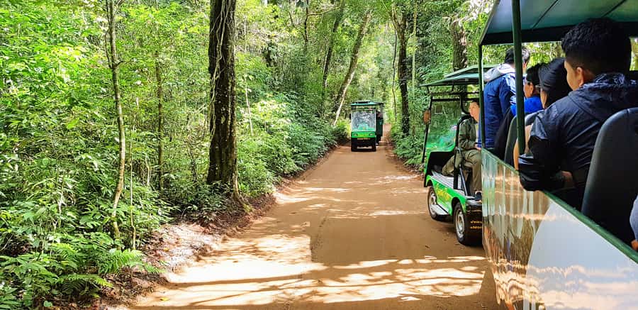 From Foz do Iguazu: Brazil Iguazu Falls & Macuco Safari Boat - The Small-Group Setup and Hotel Pickup/Drop-Off Value