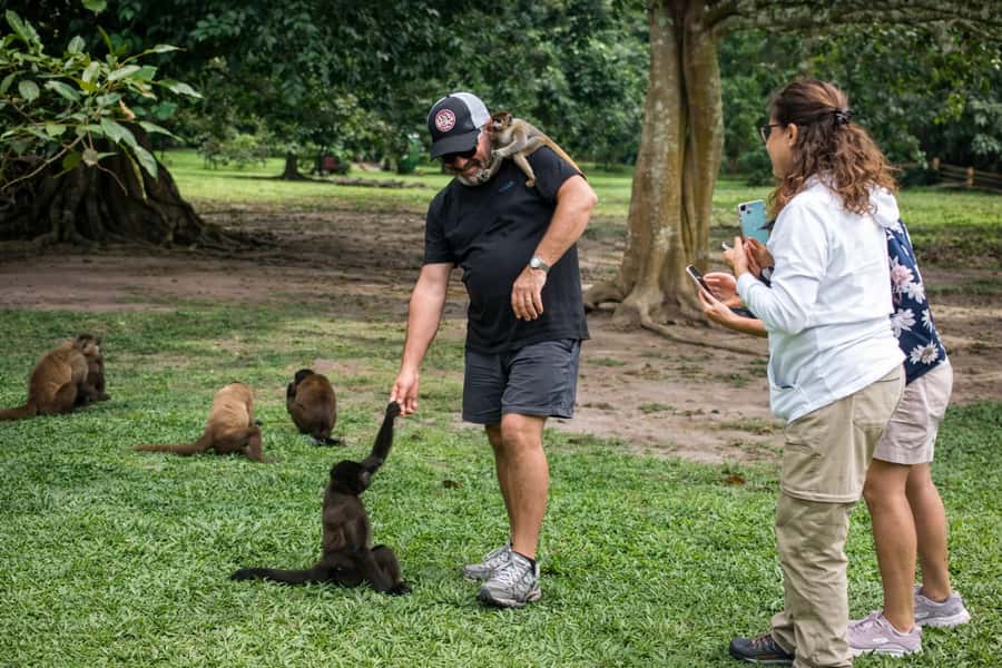 From Iquitos: 3-Day Amazon Jungle Adventure Trip - Day 3: Botanical plant walk for lianas, then back to Iquitos by motorcycle taxi