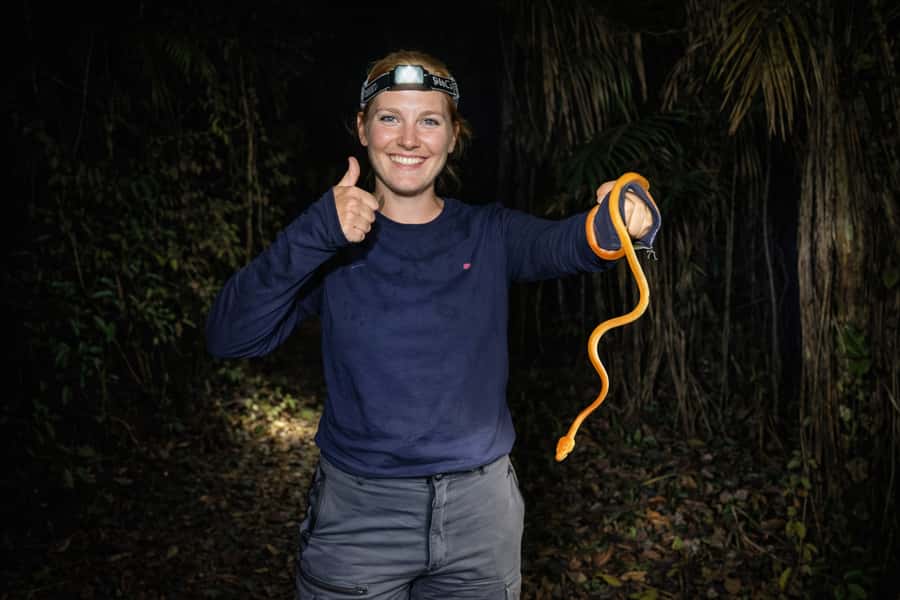 From Iquitos: 3-Day Amazon Jungle Adventure Trip - Lodge comfort and meals: what to expect in a river setting