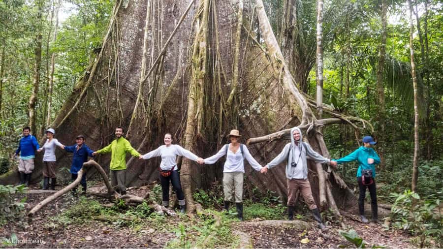 From Iquitos: Full day tour in the Peruvian jungle - Quick hits