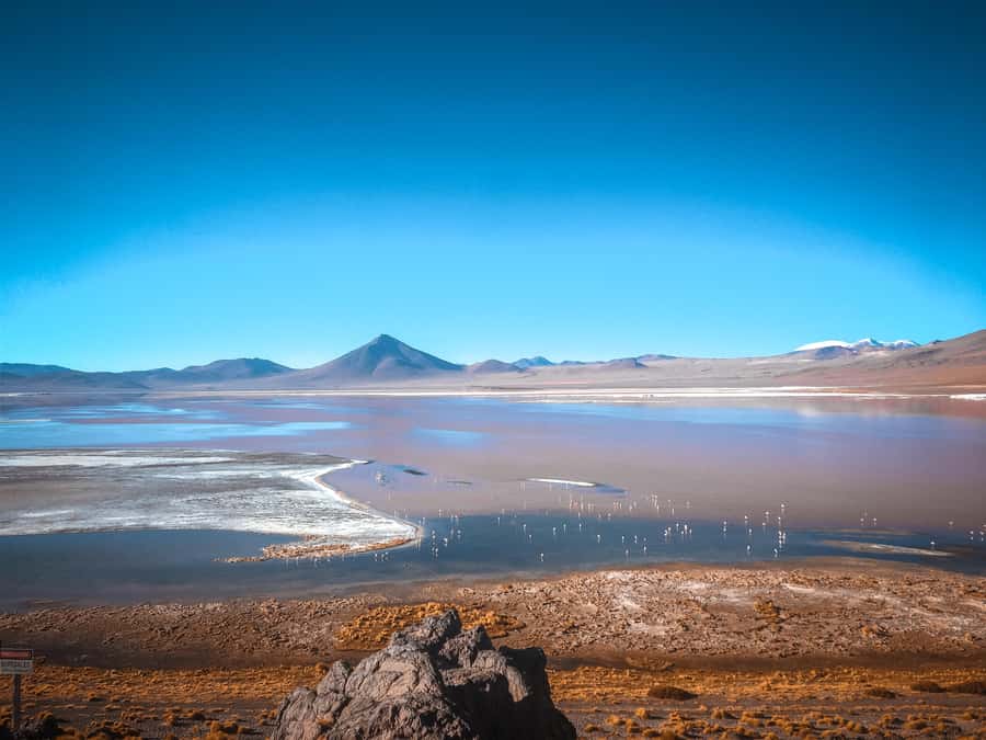 From La Paz: 4-Day Trip to San Pedro de Atacama w/Salt Flats - Guide and driver quality: why safe driving and photo help change the whole trip
