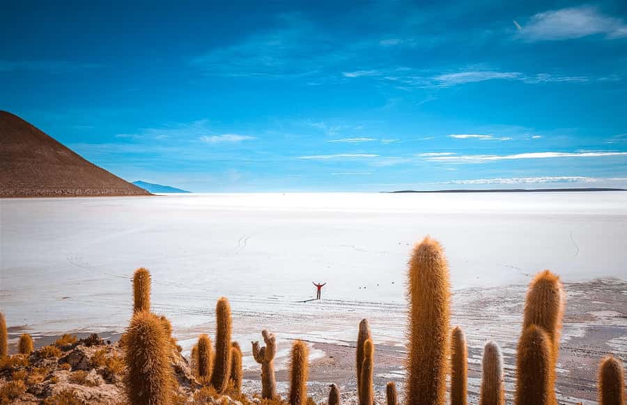 From La Paz: 4-Day Trip to San Pedro de Atacama w/Salt Flats - Salar de Uyuni in 4WD: Train Cemetery, Colchani, Salt Hotel-Museum, and the Incahuasi cactus