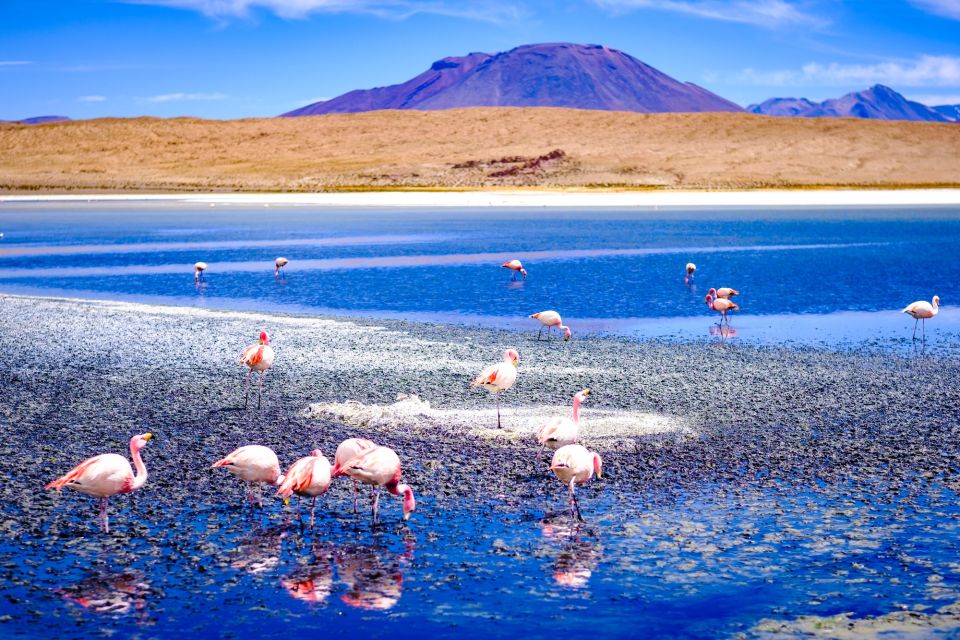 From La Paz: 4-Day Trip to San Pedro de Atacama w/Salt Flats - Money reality check: the $493 price plus fees, cash, and the “small costs” problem