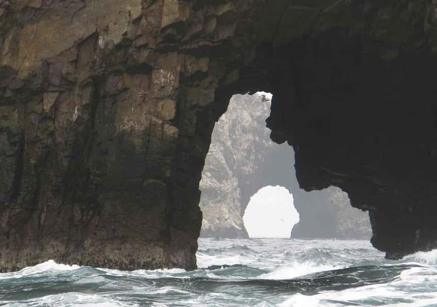From Lima: Ballestas Islands and Huacachina Sunset Day Trip - Cultur Pisco Winery: Sampling Peru’s Grape Spirit in Ica