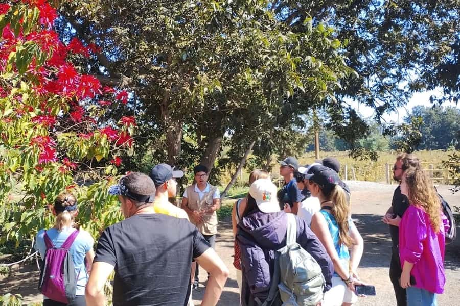 From Lima: Day trip to Paracas, Ica and Oasis Huacachina - Who This Tour Fits Best