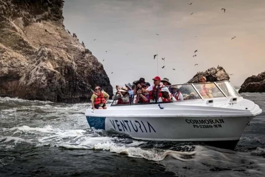 From Lima: Day trip to Paracas, Ica and Oasis Huacachina - Should You Book This Paracas and Huacachina Day Trip?