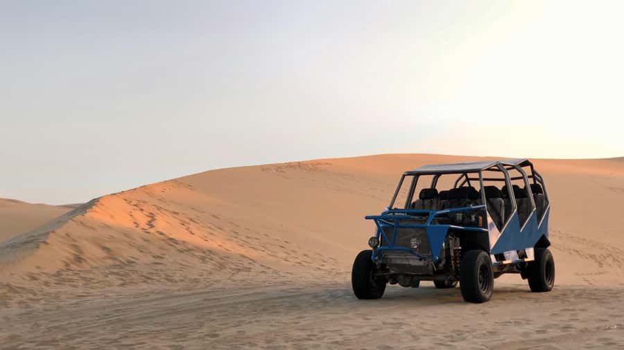 From Lima: Full Day to Paracas and Huacachina Desert Oasis - Comfort and Group Flow: The Part You Can Control