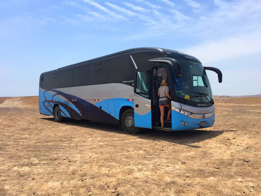 From Lima: Paracas and Huacachina Oasis Full Day Guided Tour - Should you book Paracas and Huacachina from Lima?