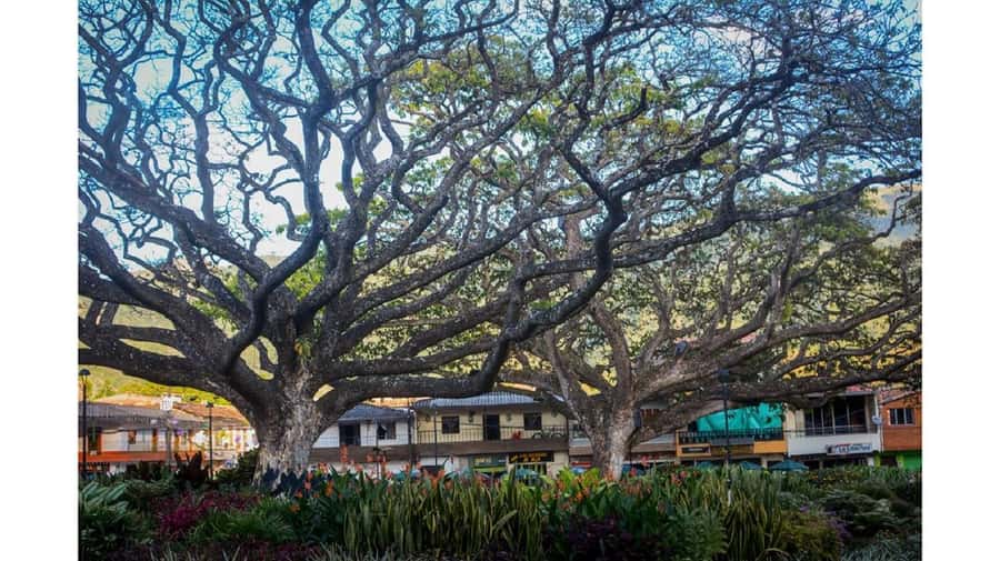 From Medellín: Jardín, Andes, and Hispania Day Trip - Hispania on quiet streets: the gentle warm-up stop