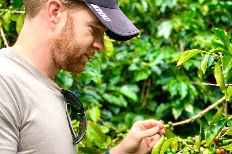 From Medellin: Private Guatape Car Tour with Coffee Tour - El Peñol Rock climb: 700 steps, real rewards, and a head start on photos
