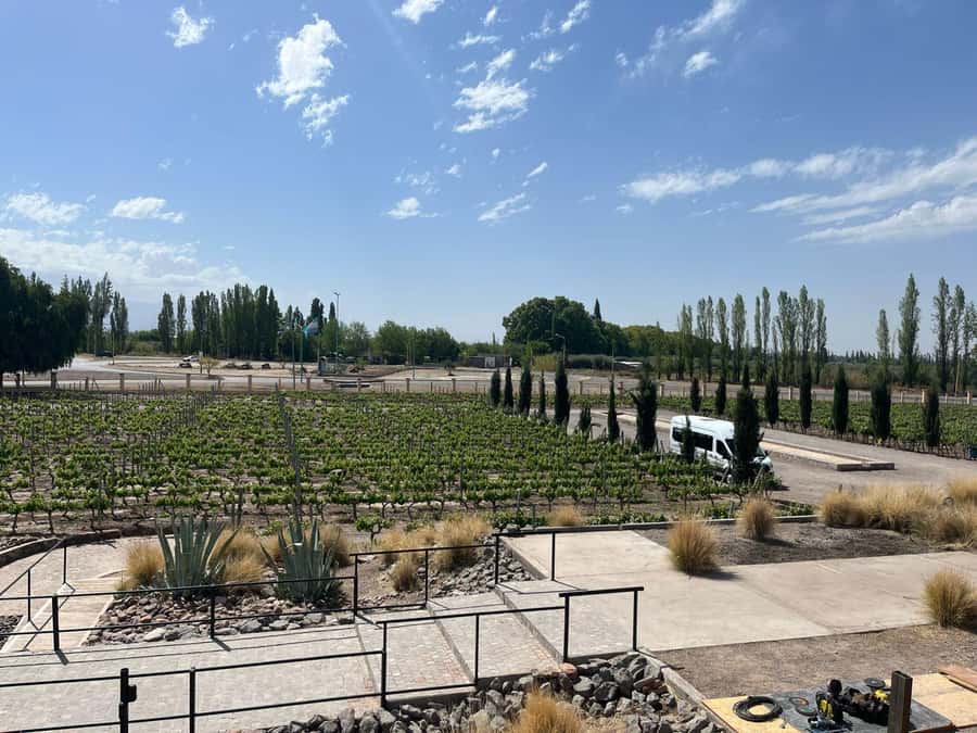 From Mendoza: 3 Wineries, Olive Oil Factory Tour & Tasting - Mendoza, Maipú, and why this tour works as a 6-hour plan