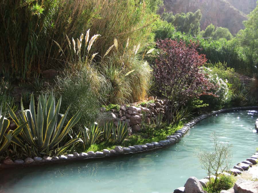 From Mendoza: Premium Spa Day at the Cacheuta Hot Springs - Hydrotherapy circuit: waterfalls, whirlpools, and foot baths