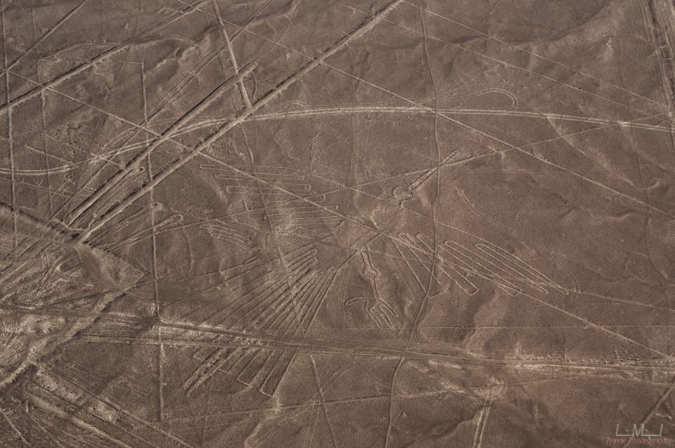 From Nazca: 35-Minute Flight Over Nazca Lines - Check-In at Nazca Airport: Passport, Weight, and Cash Fees