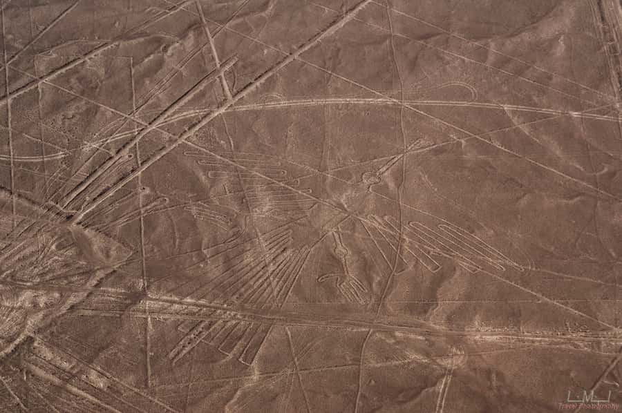 From Nazca: 35-Minute Flight Over Nazca Lines - Pilot Spotting vs. Historical Explanation: How Guidance Works On Board