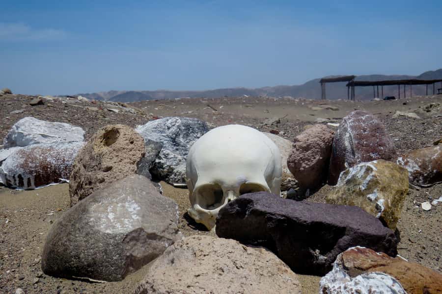 From Nazca: Chauchilla Cemetery Tour and Artisans Workshop - How the guide turns visuals into context