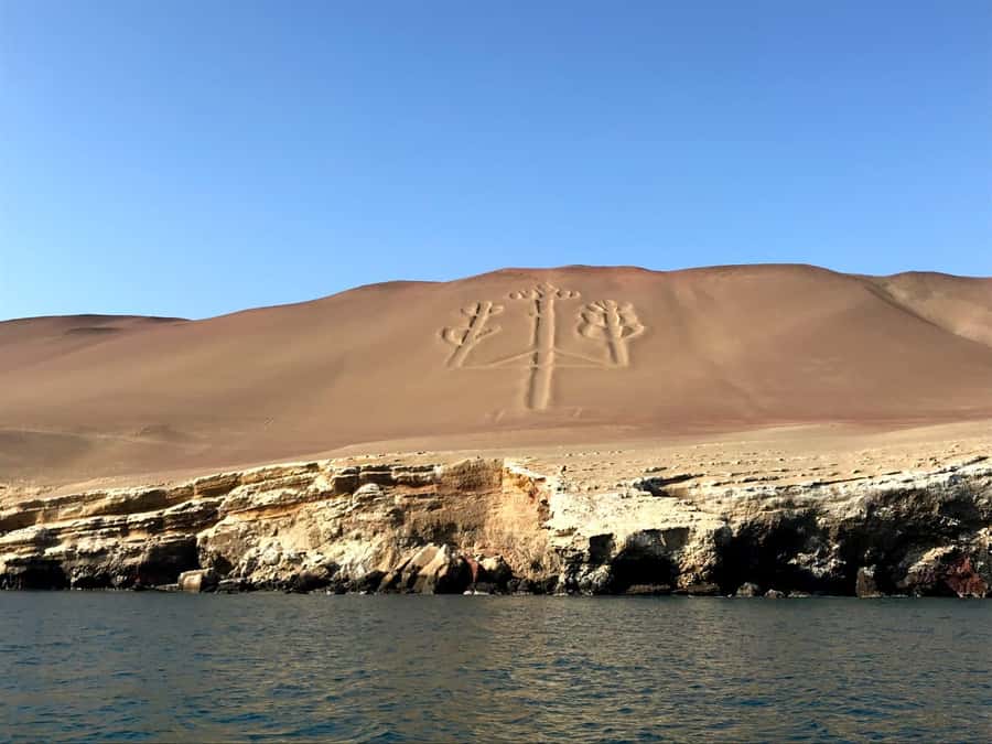 From Paracas: Ballestas Island Cruise & Paracas Reserve Tour - Key things to know before you go