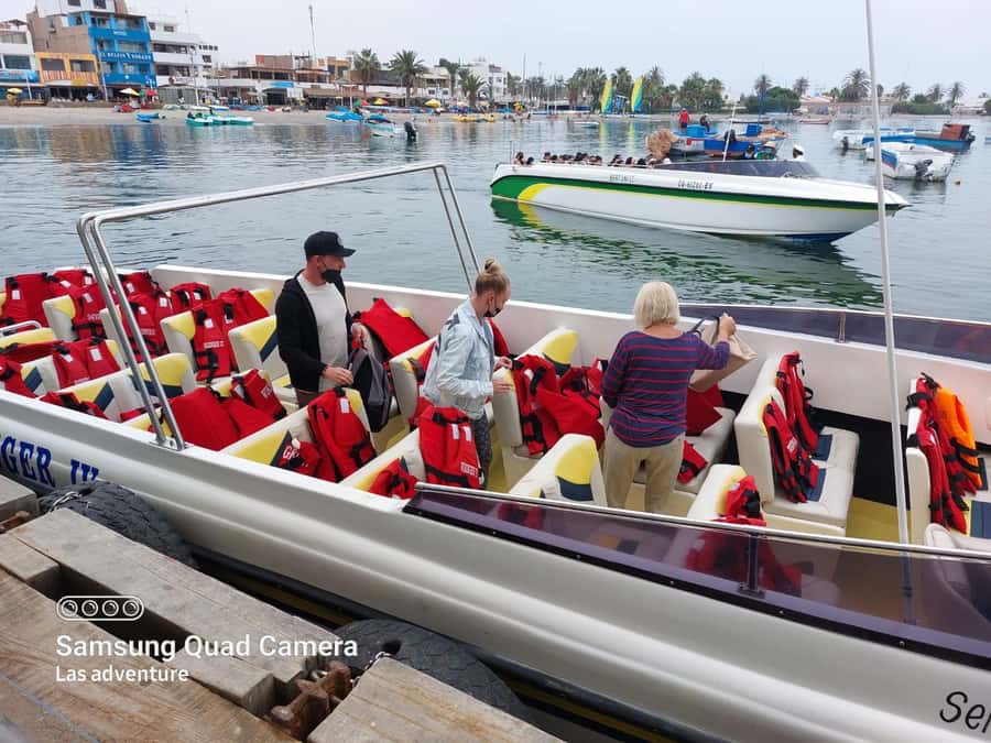From Paracas: Ballestas Island Cruise & Paracas Reserve Tour - What you’ll spot at Ballestas: seals, Humboldt penguins, seabirds