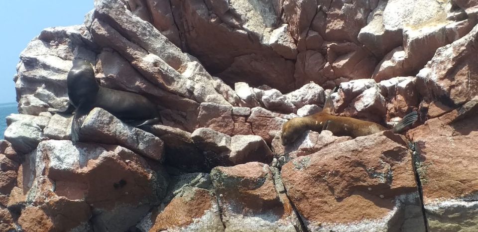 From Paracas: Ballestas Island Cruise & Paracas Reserve Tour - Paracas National Reserve by vehicle: Cathedral, cliffs, and desert drama