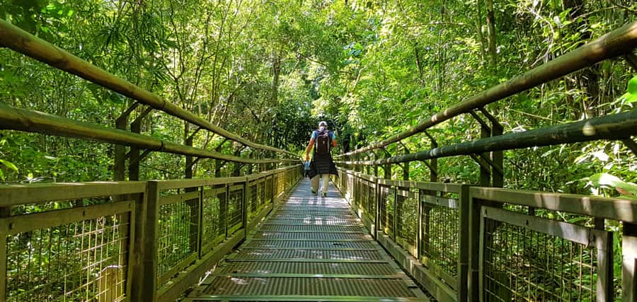 From Puerto Iguazu: Argentinian Iguazu Falls with Boat Ride - Lower circuit boardwalks near San Martín Island: end with foot traffic