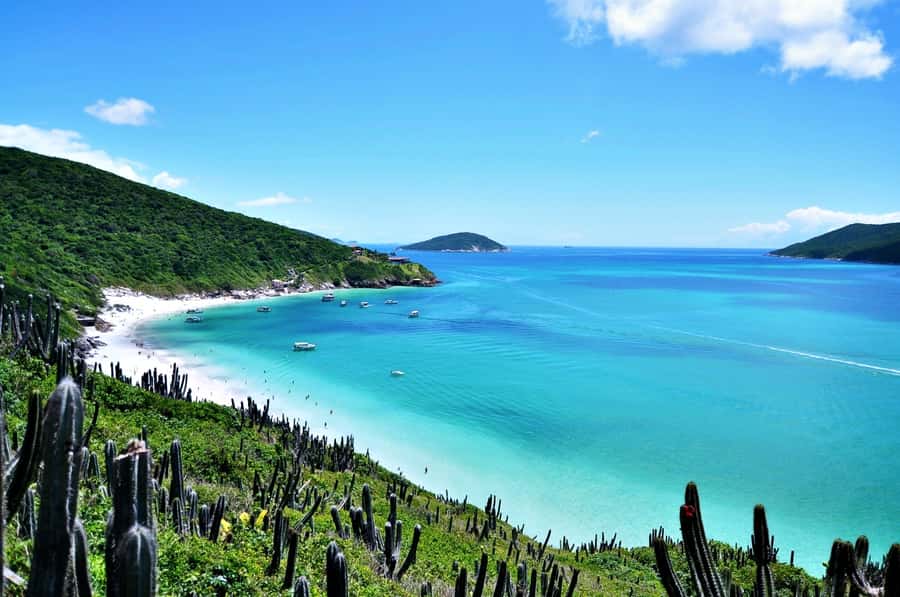 From Rio: Arraial do Cabo - The Brazilian Caribbean Daytrip - From Rio to the North Coast: The 3-Hour Transfer and En Route Break