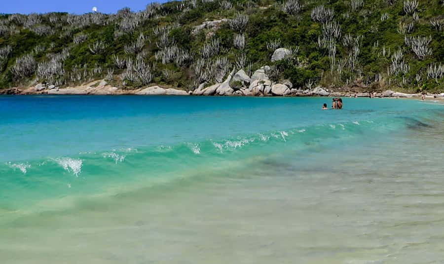 From Rio de Janeiro: Arraial do Cabo Island Day Trip - Price reality check: $67 isn’t the whole number