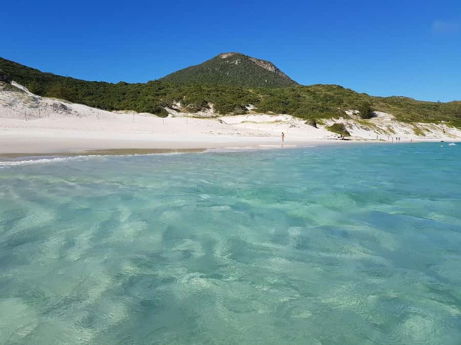 From Rio de Janeiro: Arraial do Cabo Island Day Trip - The road to Região dos Lagos: what you’ll actually do before the boat