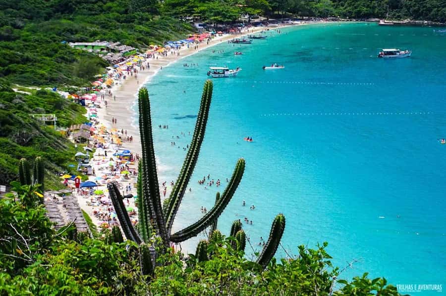 From Rio de Janeiro: Arraial do Cabo Island Day Trip - Sunset views and why this tour keeps the best moments near the end