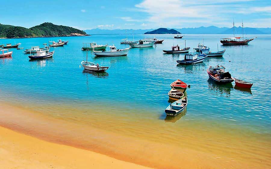 From Rio de Janeiro: Búzios Full-Day Boat Tour - Lunch in Búzios: all-you-can-eat, but timing can get “interesting”