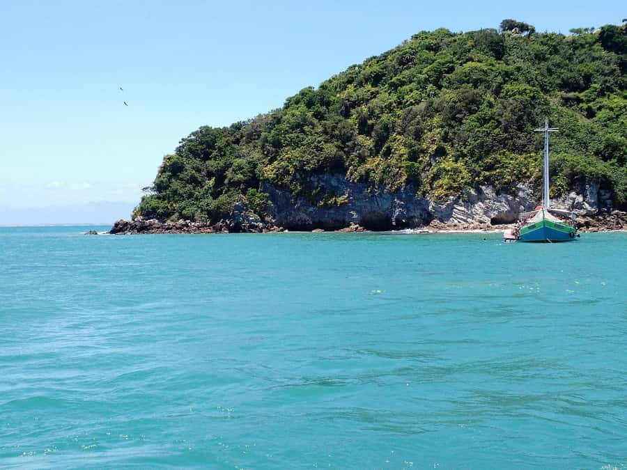 From Rio: Full Day in Búzios with Catamaran Tour and Lunch - Swim stops you can actually plan around