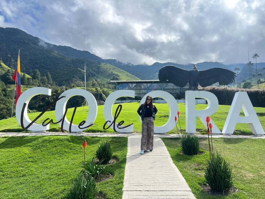 From Salento: Cocora Valley Shared Tour - Cocora Valley’s wax palms: the main event you’ll feel right away