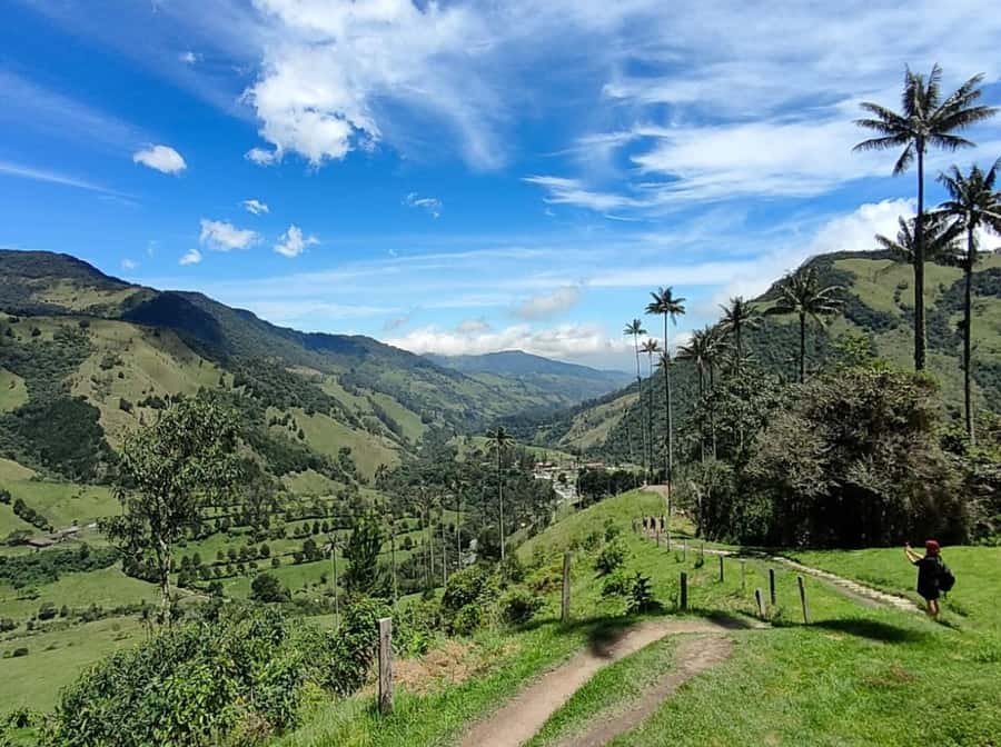 From Salento: Cocora Valley Shared Tour - The guided hike: 3 hours in Cocora with a steady effort level