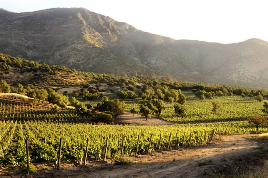 From Santiago: Maipo Valley Wine Tour - Key things to know before you go