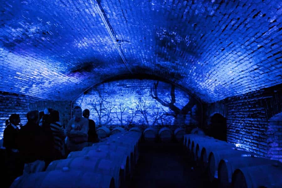 From Santiago: Maipo Valley Wine Tour - How many wineries will you visit: the 2 vs 3 stop choice
