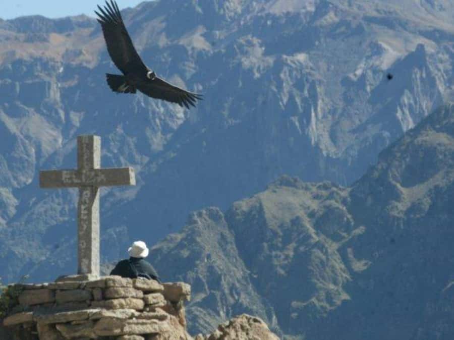Full-Day Colca Canyon Tour from Arequipa - Watching Condors at Mirador de la Cruz del Cóndor