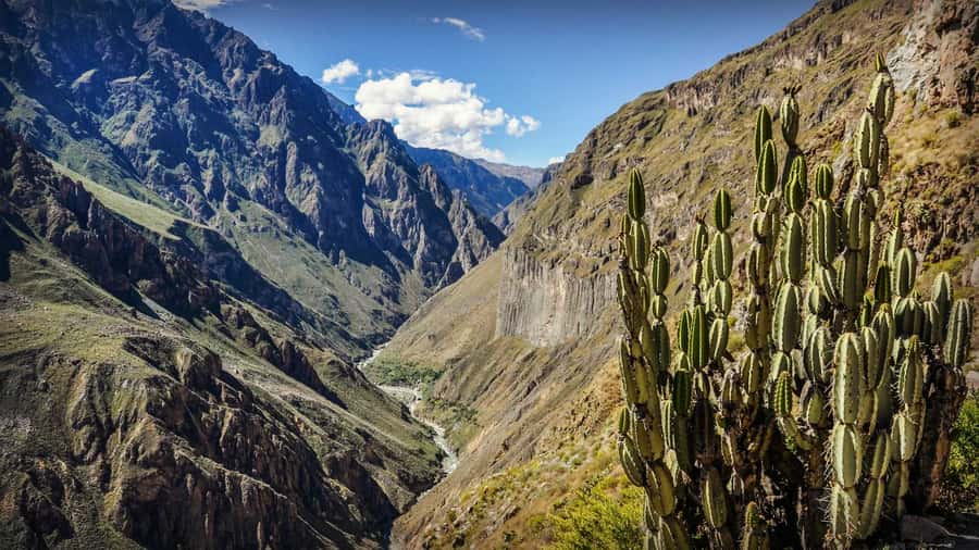 Full-Day Colca Canyon Tour from Arequipa - Colonial Churches in Pinchollo, Maca, and Yanque