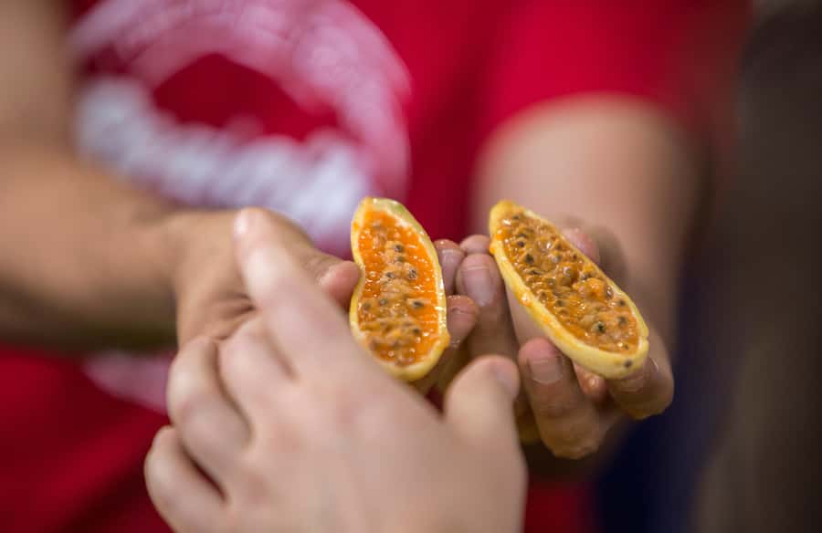 Medellín: Guided Exotic Fruits Tour - Fresh fruit juice: the fast way to taste Colombia twice