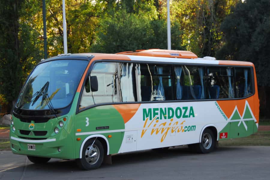 Mendoza: Half-Day Sightseeing City Tour - Downtown Mendoza on Foot: La Alameda, Plaza Pedro del Castillo, and Main Avenues