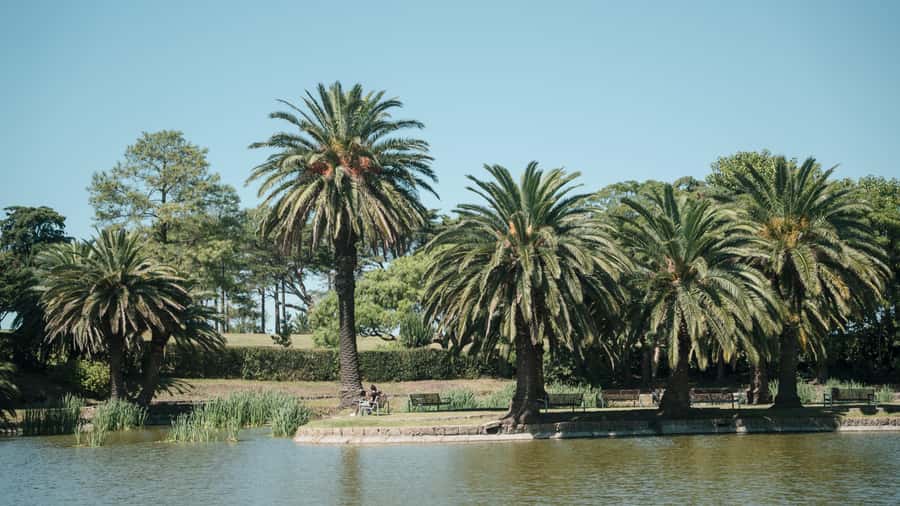 Montevideo: Sightseeing Hop-On Hop-Off Bus Tour - Rambla Circuit: Beaches, Casinos, and Coastline Views