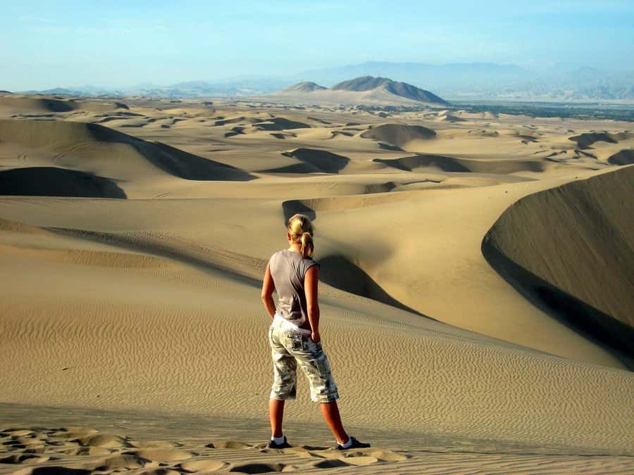 Paracas or Pisco: Private Huacachina Oasis Tour & Buggy Ride - The Vineyard Stop: Learning Pisco Without Turning It Into a Lecture