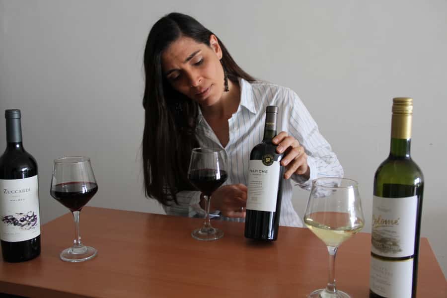 Premium Argentinian Wines and Malbec Tasting Experience - The Three-Wine Flight: Torrontés, Pinot Noir, Malbec