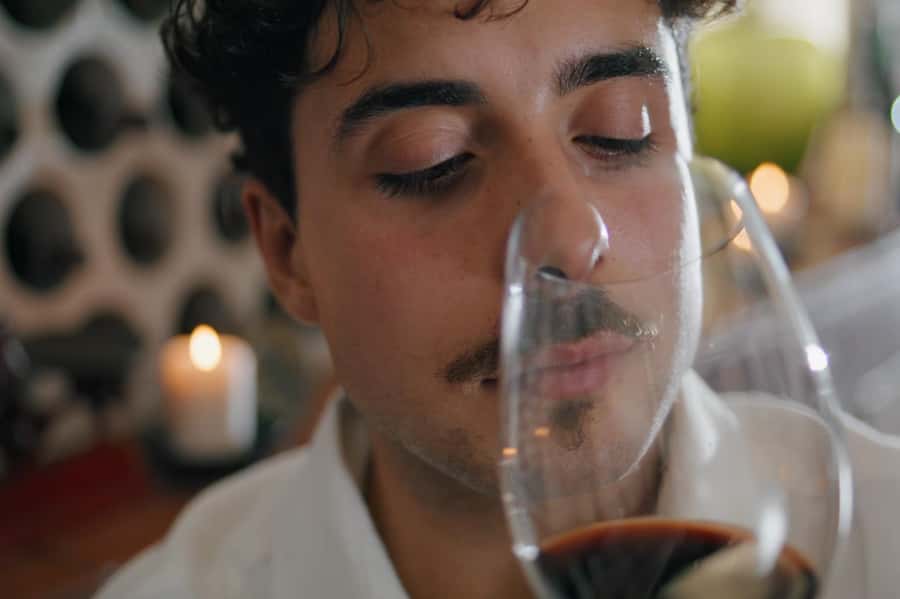 Premium Argentinian Wines and Malbec Tasting Experience - Learning That’s Not Just Talk: Vintages, Vineyard Locations, and Q&A