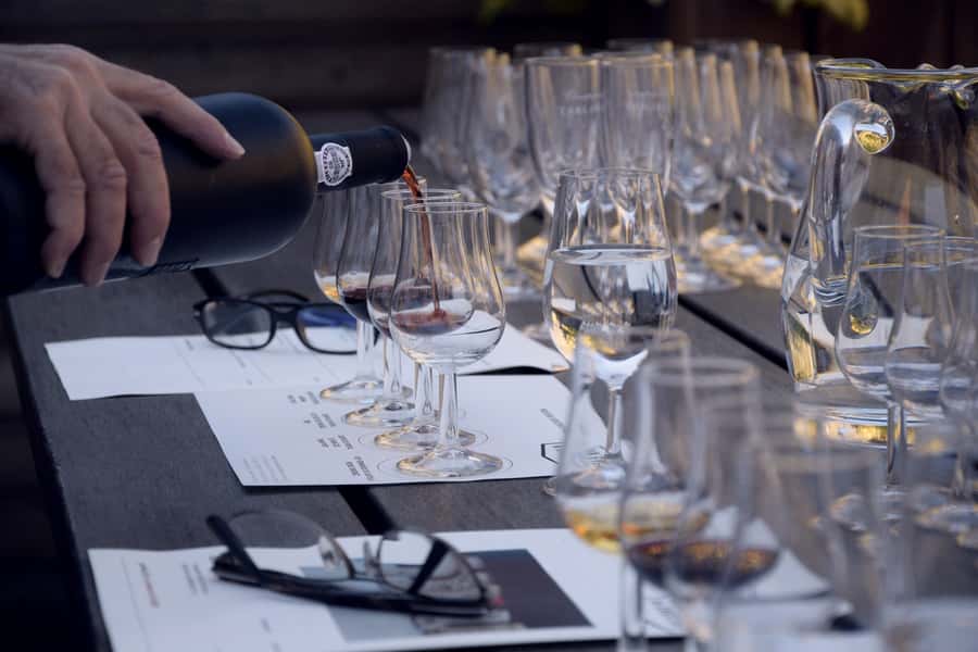 Premium Argentinian Wines and Malbec Tasting Experience - Pace, Weather, and Practical Tips for a Smooth Evening