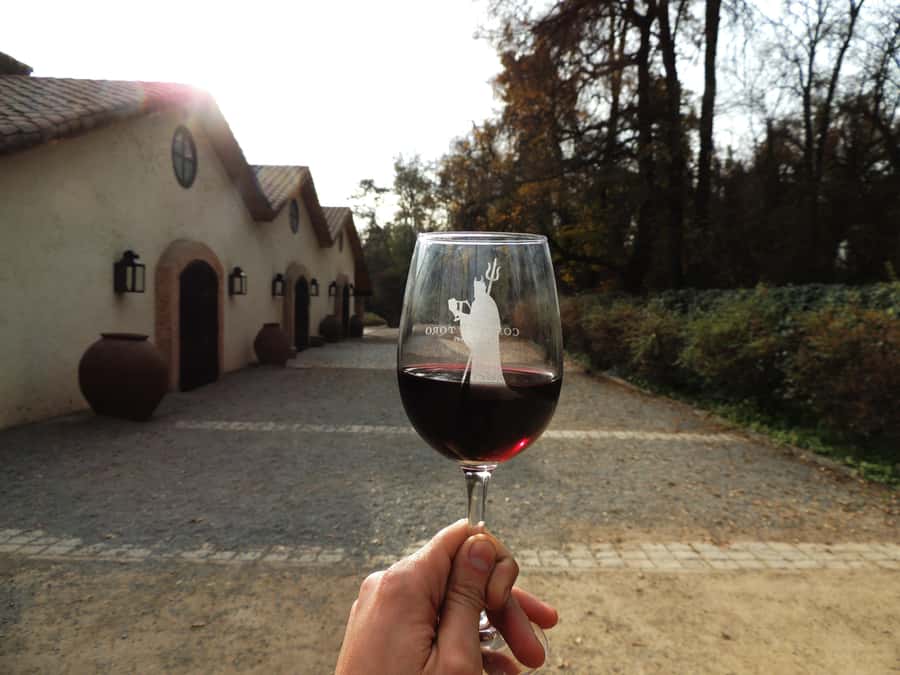 Santiago: Concha y Toro and Undurraga Vineyards Tour - Key things to know before you go
