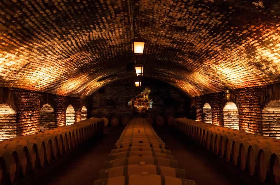 Santiago: Concha y Toro and Undurraga Vineyards Tour - Entering the Maipo Valley: what this tour gets right