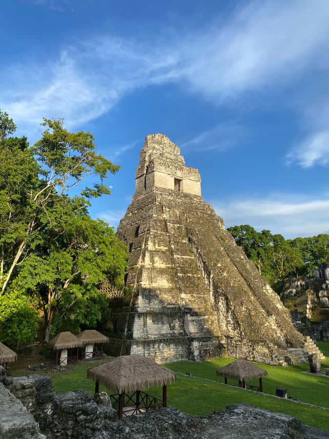 Tikal Sunset Experience: Archaeological Tour + Sunset Views - Key Things You’ll Notice Right Away