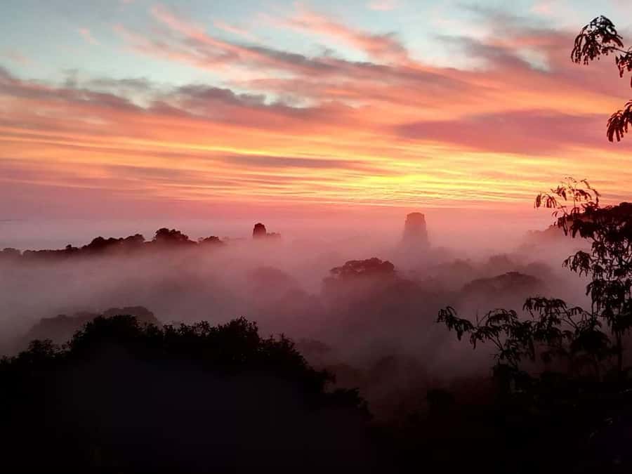 Tikal Sunset Experience: Archaeological Tour + Sunset Views - The 4-Hour Tikal Ruins Walk: More Than a Photo Circuit