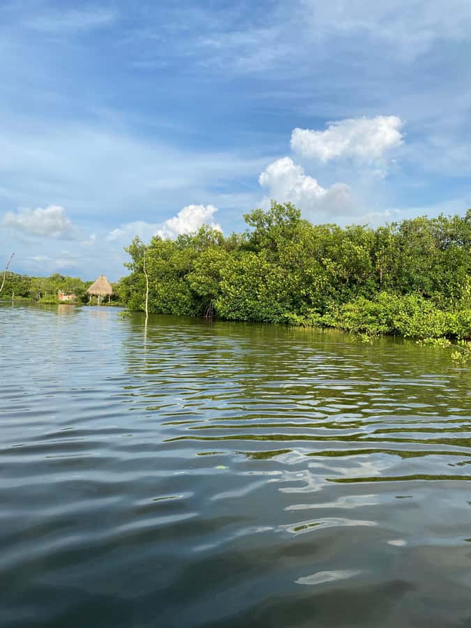 Typical lunch on beach, mangrove tour & fishing with natives - Who should book this Bolívar mangrove lunch-and-fishing tour?