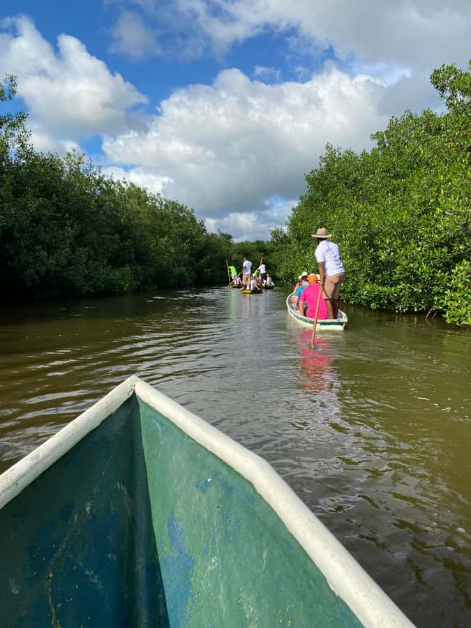 Typical lunch on beach, mangrove tour & fishing with natives - Getting from your hotel to the mangroves (and why it matters)