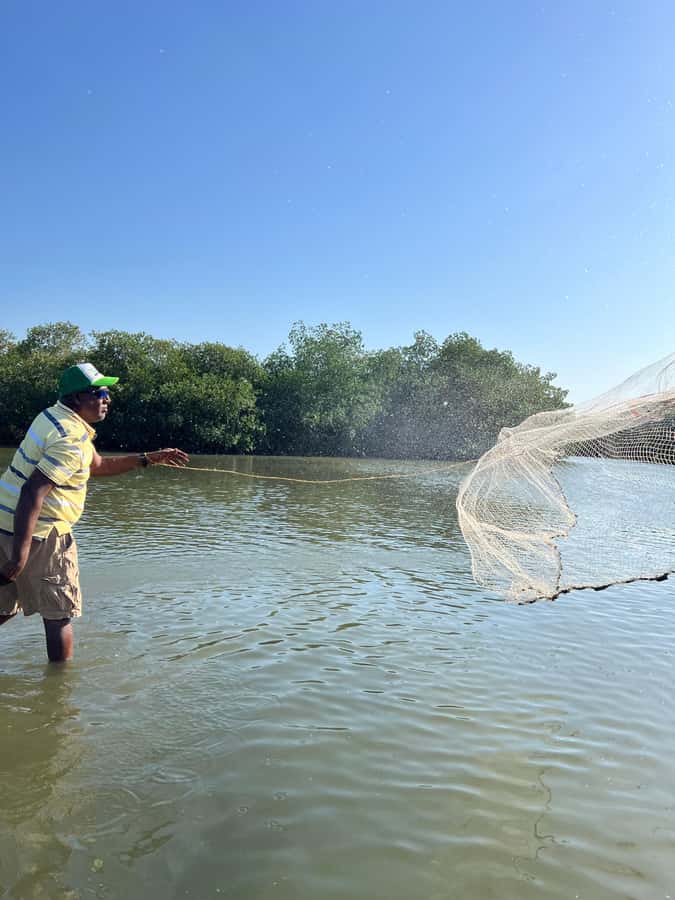 Typical lunch on beach, mangrove tour & fishing with natives - Lunch at 12:30 by the sea: fried fish, coconut rice, patacones, and more